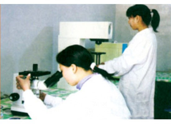 Metallographic inspection  Hardness testing